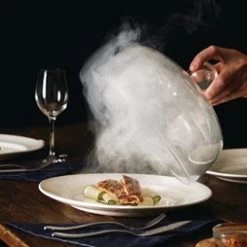 PolyScience Sage Food Smoking Gun -Buffalo Store gj486 drama 1